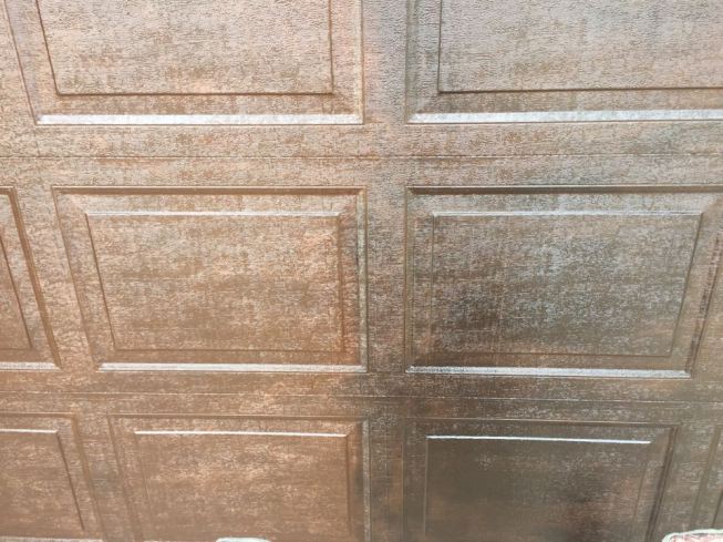 12346750_10208600760726107_1497503358_n